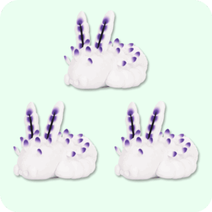 Deep Sea Bunny Plush 3PCS